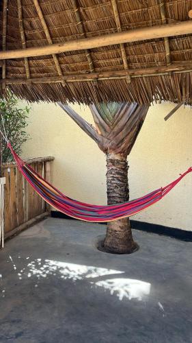 a hammock in a building with a tree at Stasumo House Arusha in Arusha