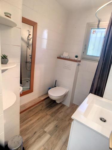 une salle de bain avec toilettes et lavabo dans l'établissement Superbe studio jardin, terrasse, piscine 307L Kali, à Cannes