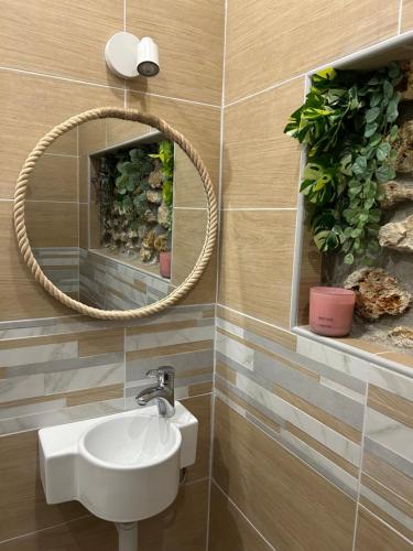 une salle de bain avec un lavabo et un miroir dans l'établissement Appartement Savane entre Disney et Paris, à Lagny-sur-Marne