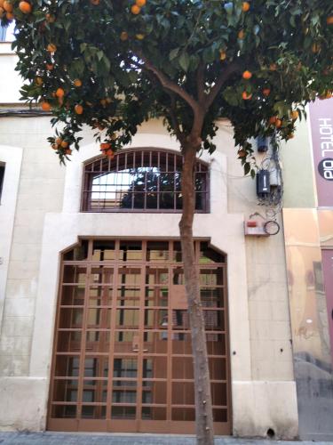 ApartEasy - MONUMENT, large, cosy apartment
