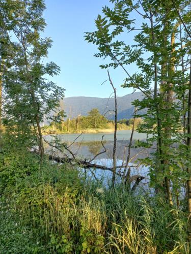 a view of a body of water through trees at Ferienwohnung Resi mit traumhaftem Seepanorama in Steindorf am Ossiacher See