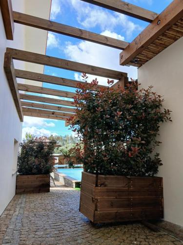 a patio with two large wooden planters with plants at Currais o pequeno paraíso entre o mar e a serra in Aveiro