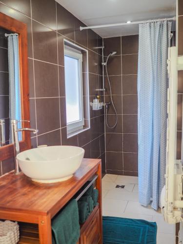une salle de bain avec un lavabo et une douche dans l'établissement Appartement chaleureux 2ch 3lits Orléans centre, à Orléans