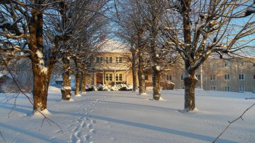 a house in a snow covered yard with trees at Partille Vandrarhem in Partille