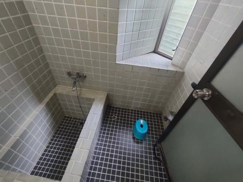 a bathroom with a shower with a blue toilet at 南伊豆ランドホピア Minami Izu Land Hopia in Minamiizu