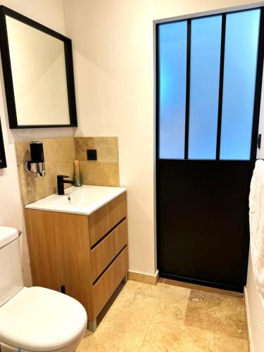 a bathroom with a toilet and a sink and a mirror at Studio Preto - Confort moderne - Terrasse - Parking gratuit - Non fumeur in Fumel