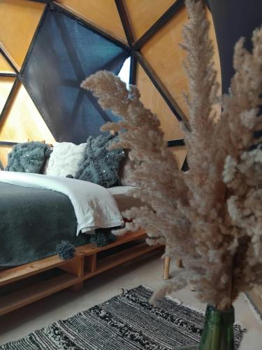 Una cama o camas en una habitación de Tatooine Stars Camp