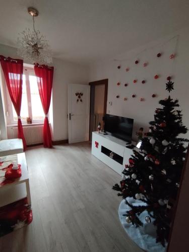 Charmant appartement de 3 pièces, Colmar