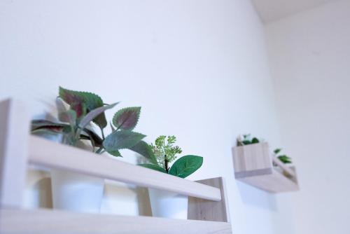two potted plants sitting on a white shelf at Hotel Rendez Vous in Châtillon