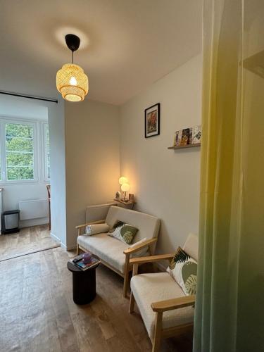 un salon avec un canapé et une chaise dans l'établissement Studio Nid sur la Cascade, à Eaux-Bonnes