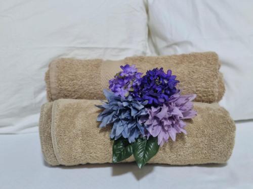 Gallery image of JetPoint Family Home in Nadi