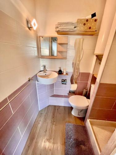 une petite salle de bain avec un lavabo et des toilettes dans l'établissement Le Cosy Des Goélands, T2 proche de la mer, à Frontignan