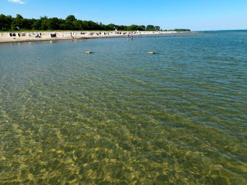 a large body of water with a beach in the background at Buchenweg Inselnest in Insel Poel
