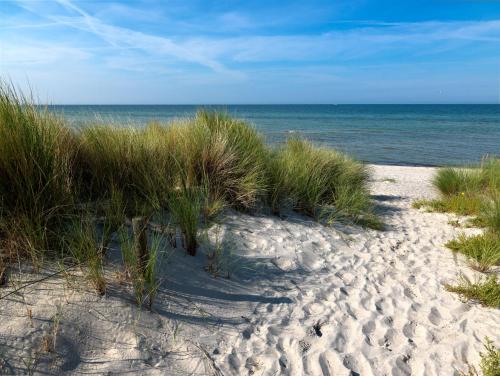 a sandy beach with tall grass and the ocean at Buchenweg Inselnest in Insel Poel