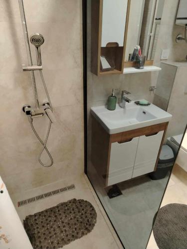 a bathroom with a shower with a sink and a mirror at Star Apartment Belgrade 1 in Belgrade