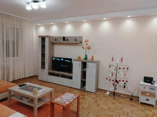 Μια τηλεόραση ή/και κέντρο ψυχαγωγίας στο Star Apartment Belgrade 1