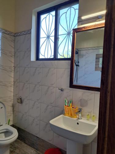 a bathroom with a sink and a mirror at Diamond Coast Villa and Apartment in Paje