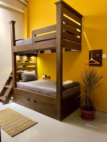 a bunk bed in a room with a yellow wall at Habibi Hostel & Restaurant in Unawatuna