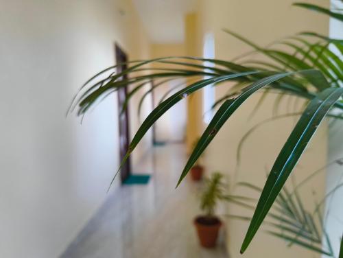 Fotografie z fotogalerie ubytování EESHA Inn - A Premium Home stay Near Temple v destinaci Rāmeswaram