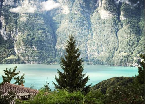 a pine tree in front of a mountain at Chalet im Gus - Flumserberge & Walensee in Oberterzen