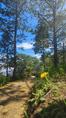 a dirt road with a yellow flower on the side at Balabum home and more in Trai Mat