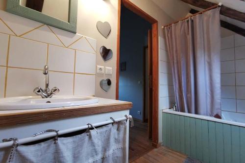 une salle de bain avec un lavabo et une douche dans l'établissement la maison de Pascaline, à Campan