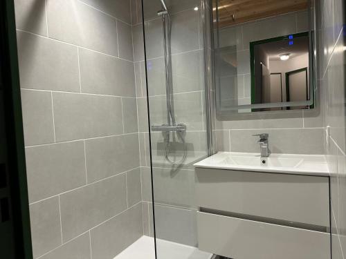 une salle de bain avec douche et lavabo dans l'établissement Appartement spacieux près des pistes avec balcon - FR-1-181-2495, à La Plagne Tarentaise