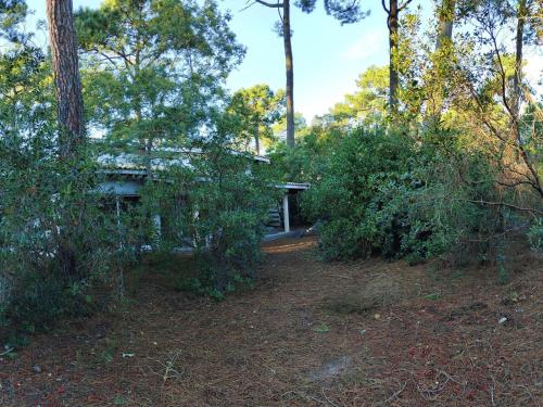 Photo de la galerie de l'établissement Villa en lisière de forêt avec jardin, à 1,5 km de l'Océan, idéale pour des vacances reposantes - FR-1-736-16, à Lège-Cap-Ferret
