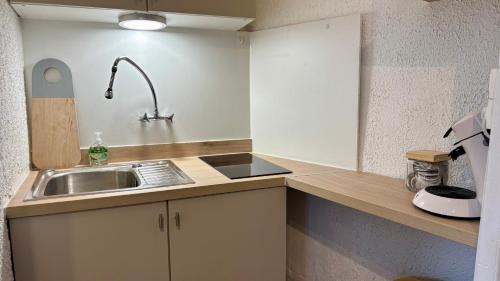 a small kitchen with a sink and a counter at Au coeur d'Autun in Autun