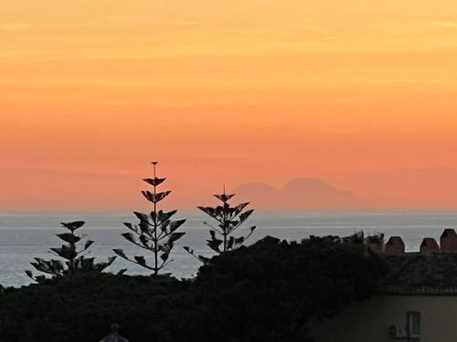 a sunset over the ocean with two trees on a hill at Calypso Holidays II in Sitio de Calahonda