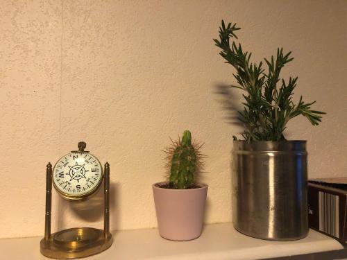 Photo de la galerie de l'établissement Appartement Quartier Montchapet, à Dijon