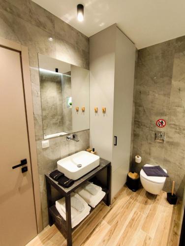 a bathroom with a sink and a toilet at Meteora Gold and Glass Suites in Kalabaka
