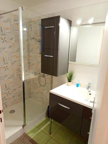 a bathroom with a shower and a sink and a mirror at Excalibur - 4 Chambres - Puydufou - proche gare in Cholet