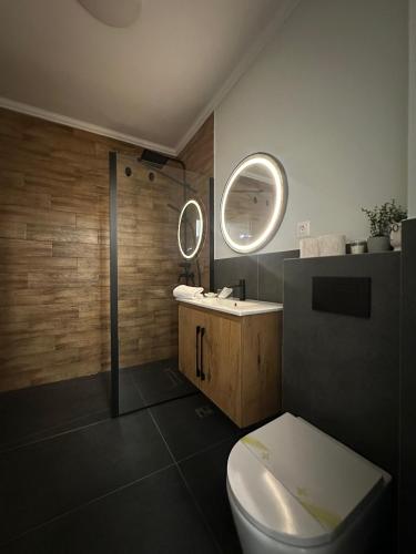 a bathroom with a toilet and a sink and a mirror at Nova Apartment in Şelimbăr