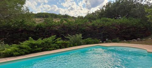 - une piscine dans une cour avec des arbres et des buissons dans l'établissement Le Mas de Largellas, à Balazuc
