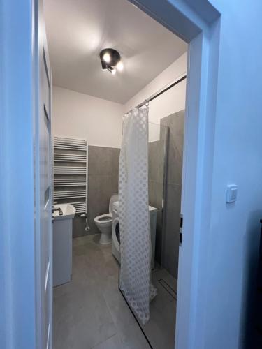 a bathroom with a toilet and a shower curtain at Nowe mieszkanie in Pabianice