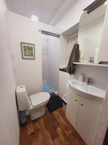 a white bathroom with a toilet and a sink at LejasVāgneris in Tukums