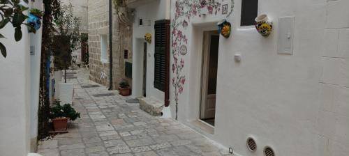 Okolí bed and breakfast