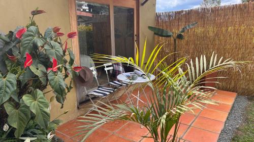 a garden with a patio with plants and a fence at Casas del Viento in Villa de Leyva