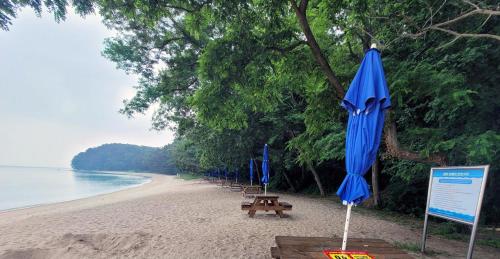 Naturlandskabet i nærheden af campingpladsen