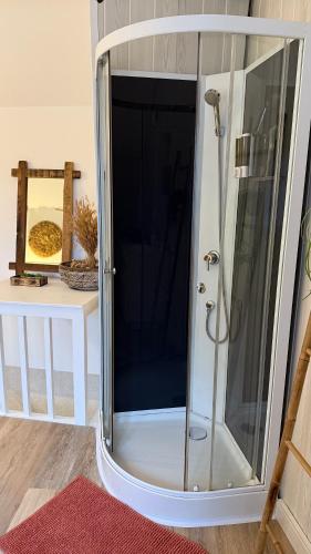 a shower with a glass door in a room at Le Gîte des Rochettes, 600m à pied du Zoo de Beauval in Saint-Aignan