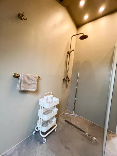 a bathroom with a shower and a towel rack at Forest Loft Apart in Alfeld