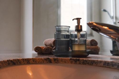 - un comptoir de salle de bains avec un distributeur de savon et un lavabo dans l'établissement Chez Schätzele - Joli appartement Strasbourgeois, à Strasbourg