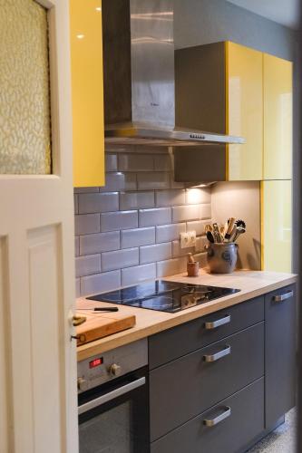 une cuisine avec des appareils électroménagers en acier inoxydable et des armoires jaunes dans l'établissement Chez Schätzele - Joli appartement Strasbourgeois, à Strasbourg