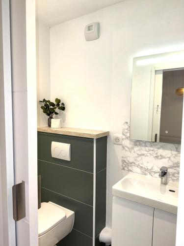 une salle de bain avec toilettes, lavabo et miroir dans l'établissement Chaleureux studio entre lac et montagnes, à Neuvecelle