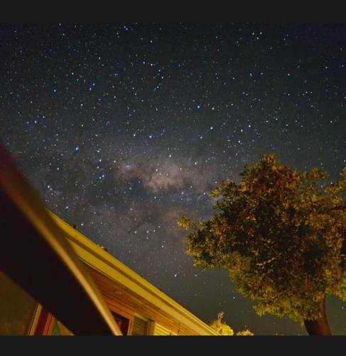 a starry night with a tree and a house at Sandy point hideaway in Sandy Point