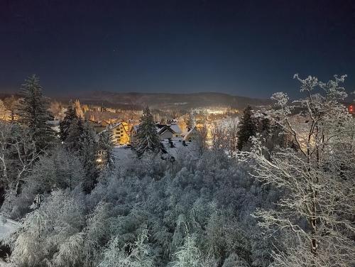 Apartament Widokowe Zacisze