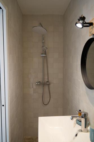 a shower in a bathroom with a sink at Le Petit Croquant in Marseille
