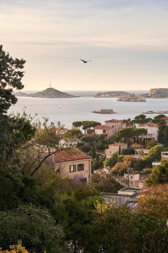 a bird flying over a town and a body of water at Le Petit Croquant in Marseille