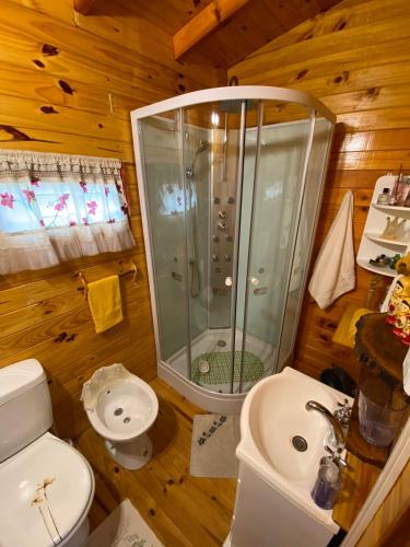 a bathroom with a shower and a toilet and a sink at Cabaña La Paz in Tigre